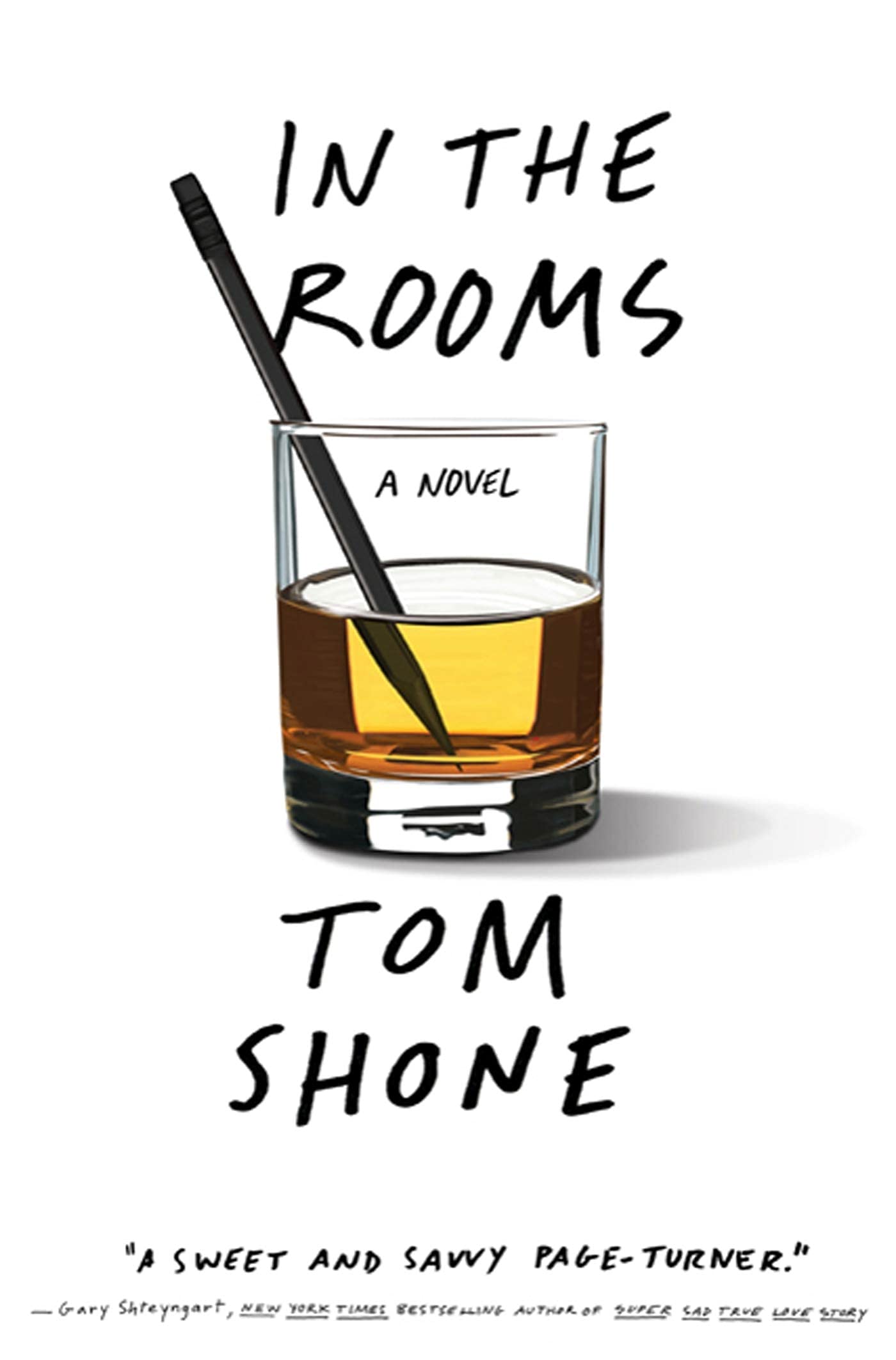In the Rooms: A Novel