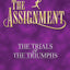 The Assignment: The Trials & The Triumphs The Assignment Series Voume 3