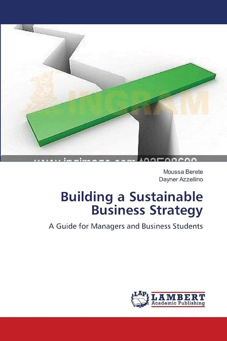 Building a Sustainable Business Strategy: A Guide for Managers and Business Students