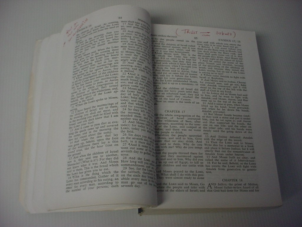 Holy Bible: From the Ancient Eastern Text by George M. Lamsa