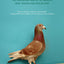 Pigeons: The Fascinating Saga of the World's Most Revered and Reviled Bird