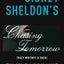Sidney Sheldon's Chasing Tomorrow LP