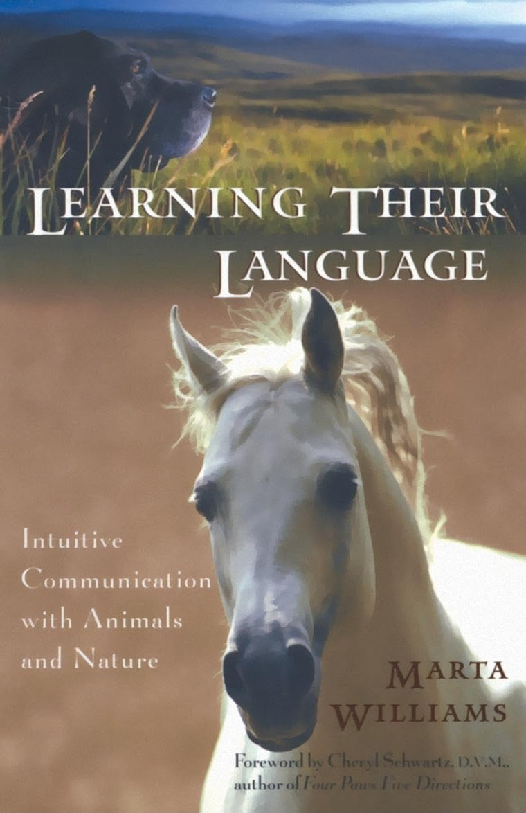 Learning Their Language: Intuitive Communication with Animal