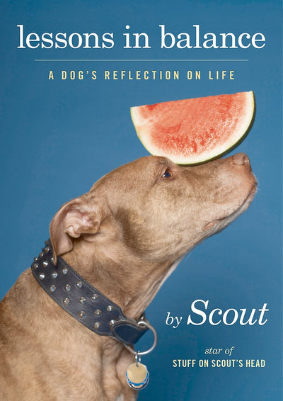 Lessons in Balance: A Dog's Reflections on Life