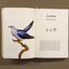 The Book of Birds: A Field Guide to Wonder and Loss