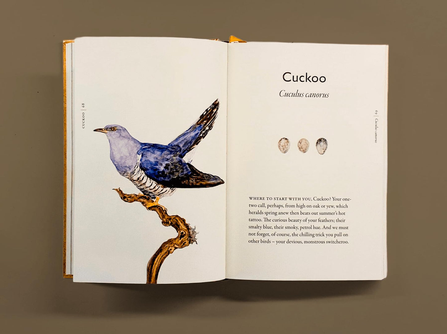 The Book of Birds: A Field Guide to Wonder and Loss