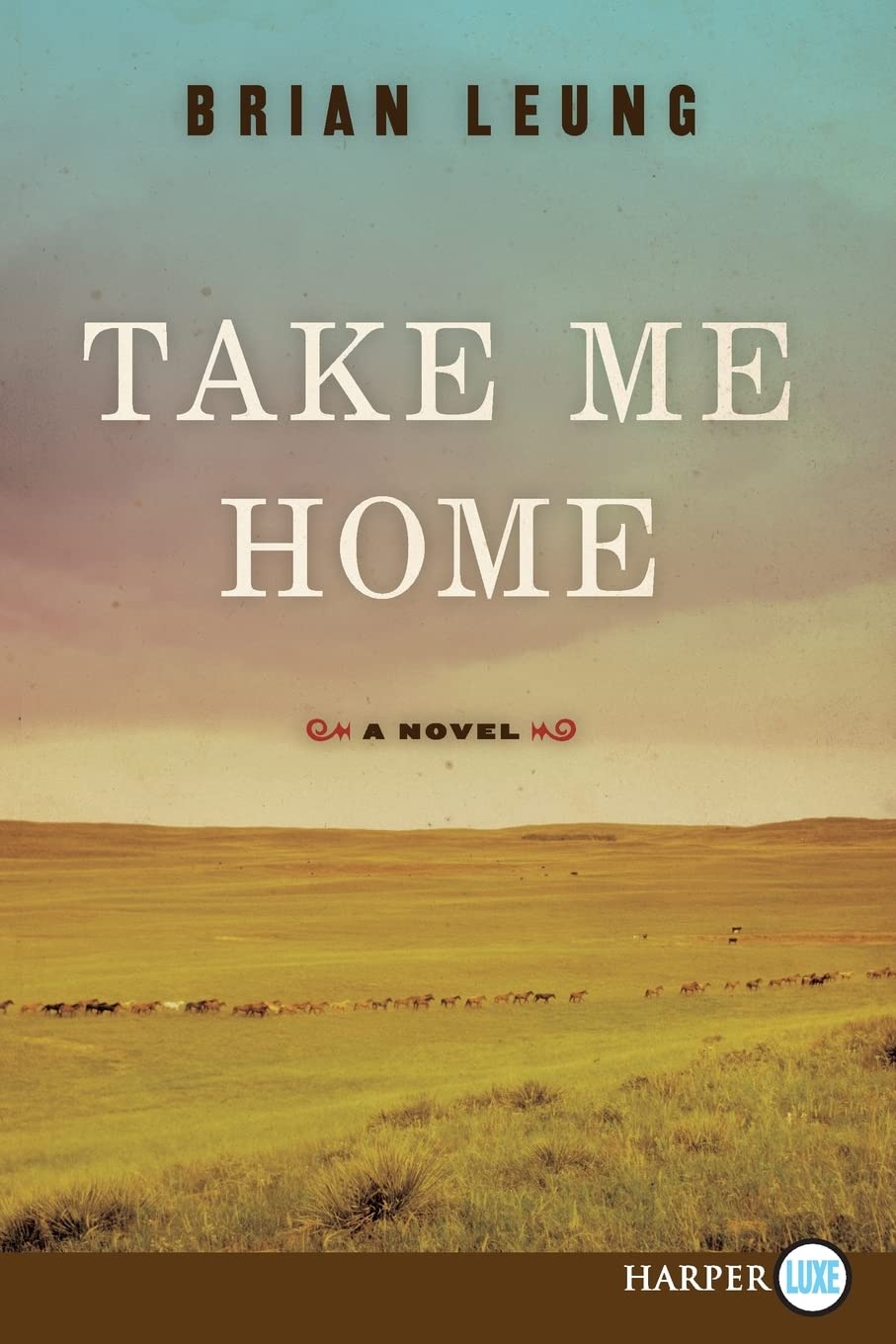 Take Me Home: A Novel