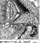 Berserk Deluxe Volume 10