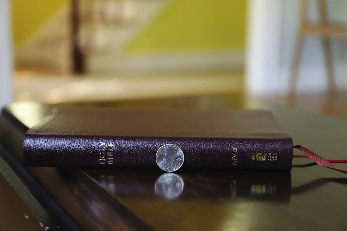 NIV, Thinline Reference Bible (Deep Study at a Portable Size)
