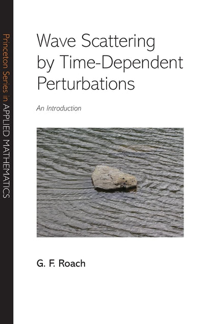 Wave Scattering by Time-Dependent Perturbations: An Introduction (Princeton Series in Applied Mathematics)