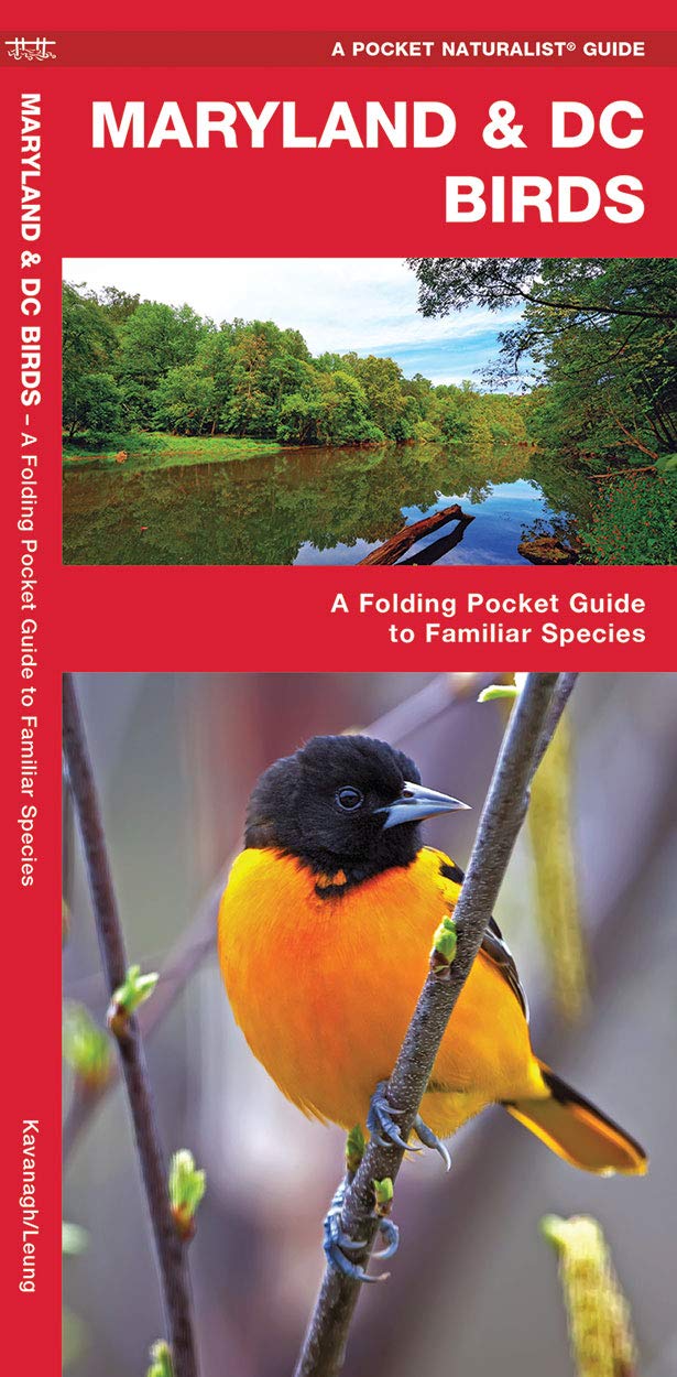 Maryland & DC Birds: A Folding Pocket Guide to Familiar Species (Wildlife and Nature Identification)