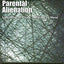 Understanding Parental Alienation: Learning to Cope, Helping to Heal