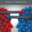 Political Insults: How Offenses Escalate Conflict