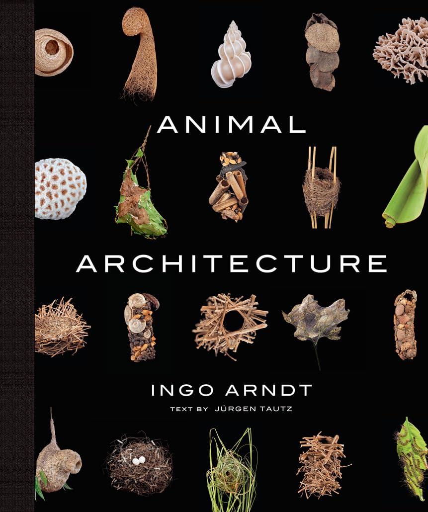 Animal Architecture: Photographs of Natural Habitats