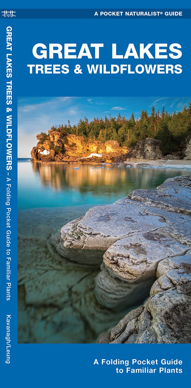 Great Lakes Trees & Wildflowers: A Folding Pocket Guide to Familiar Plants (Nature Observation North America)