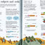 Illustrated Grammar and Punctuation