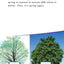 The Seasons (Science Readers: Content and Literacy)
