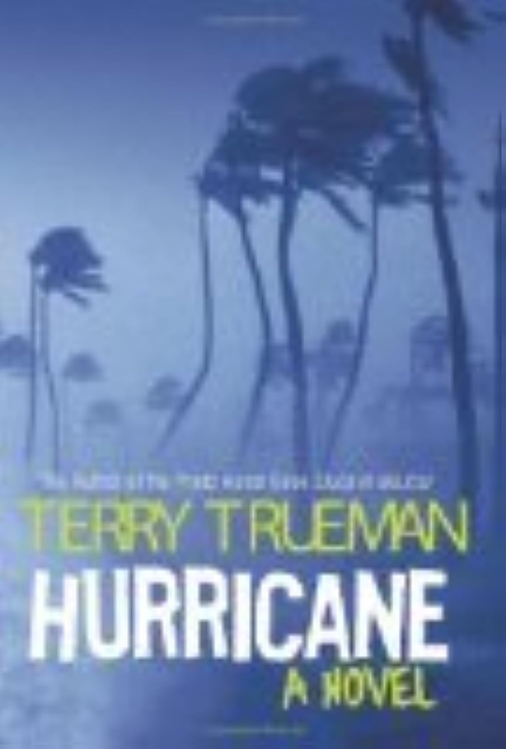 Hurricane: A Novel