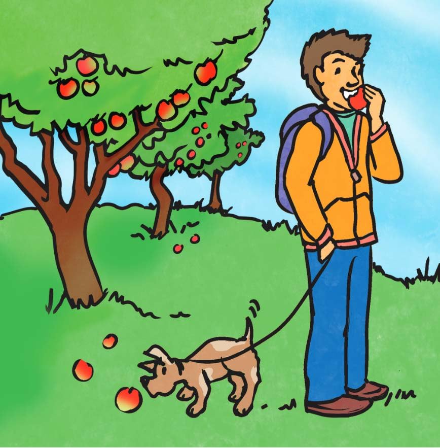 Noses Are Not for Picking