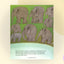 Elmer: A Colorful Elephant Story About Being Unique for Children (Ages 4-8)