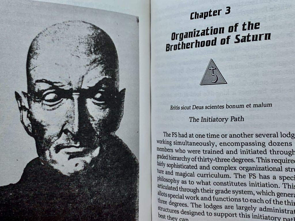 Fire & Ice: Magical Teachings of Germany's Greatest Secret Occult Order (Llewellyn's Teutonic Magick Series)