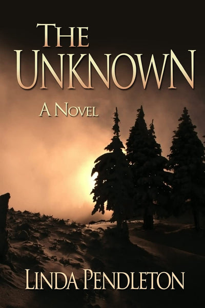 The Unknown: A Novel