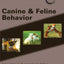 Blackwell's Five-Minute Veterinary Consult Clinical Companion: Canine and Feline Behavior
