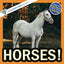 Horses!: A My Incredible World Picture Book for Children (My Incredible World: Nature and Animal Picture Books for Children)