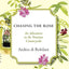 Chasing the Rose: An Adventure in the Venetian Countryside b