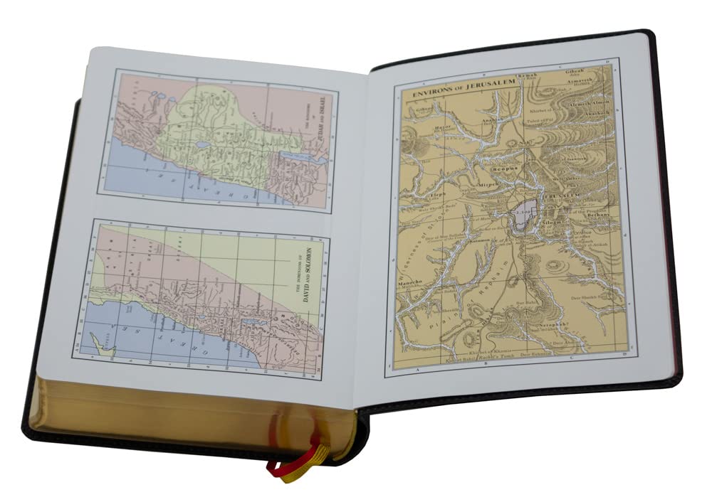 Douay-Rheims Bible {Standard size - Black Flex Cover}