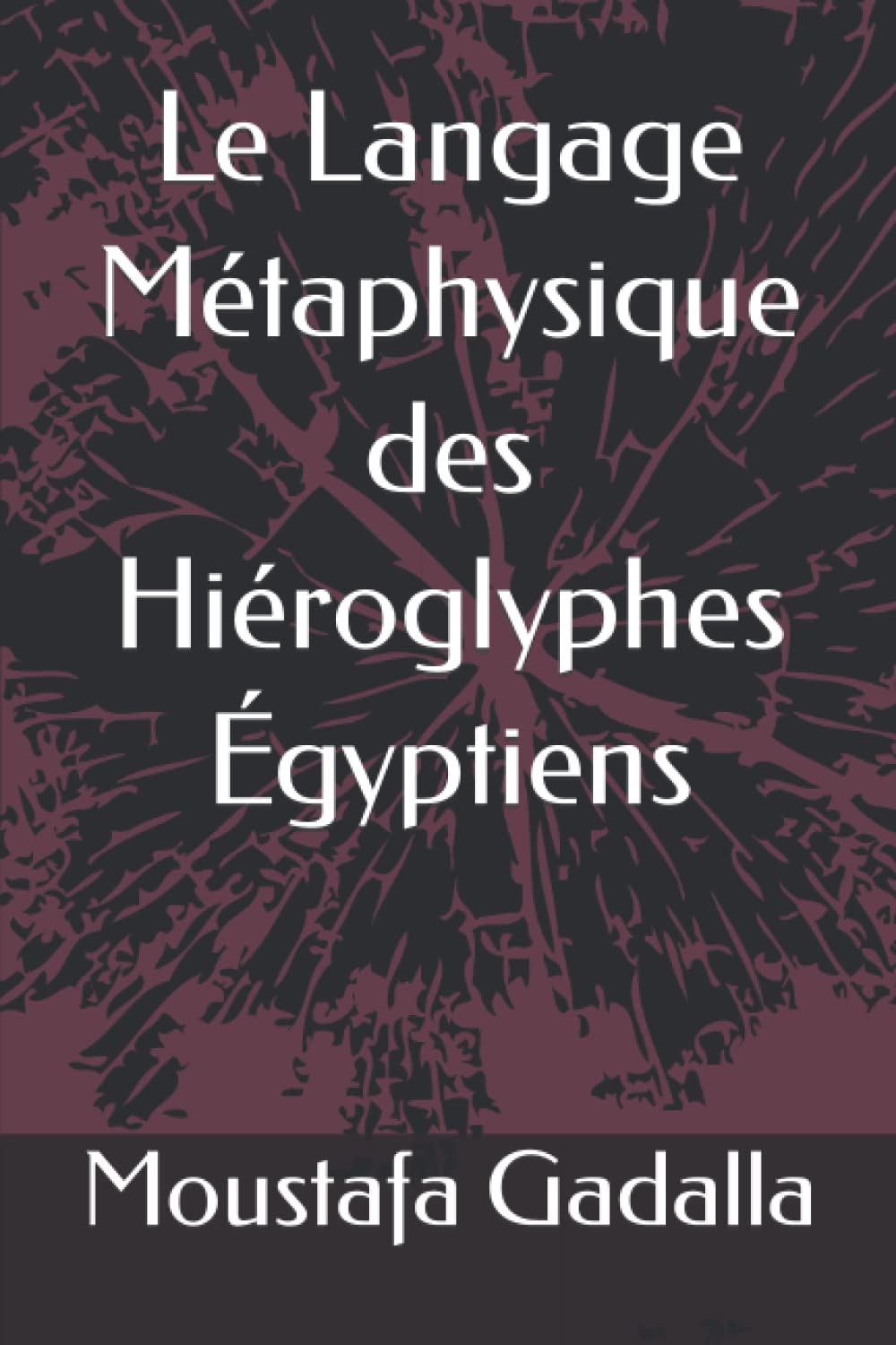Le Langage Métaphysique des Hiéroglyphes Égyptiens (French Edition)