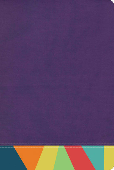 Reina Valera 1960 Biblia de Estudio Arcoris, morado/multicolor  RVR 1960 Rainbow Study Bible Purple/multicolor LeatherTouch (Spanish Edition)