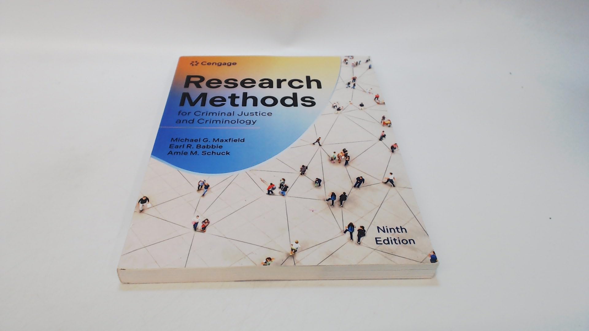Research Methods for Criminal Justice and Criminology (MindTap Course List)