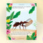 My Little Golden Book About Bugs
