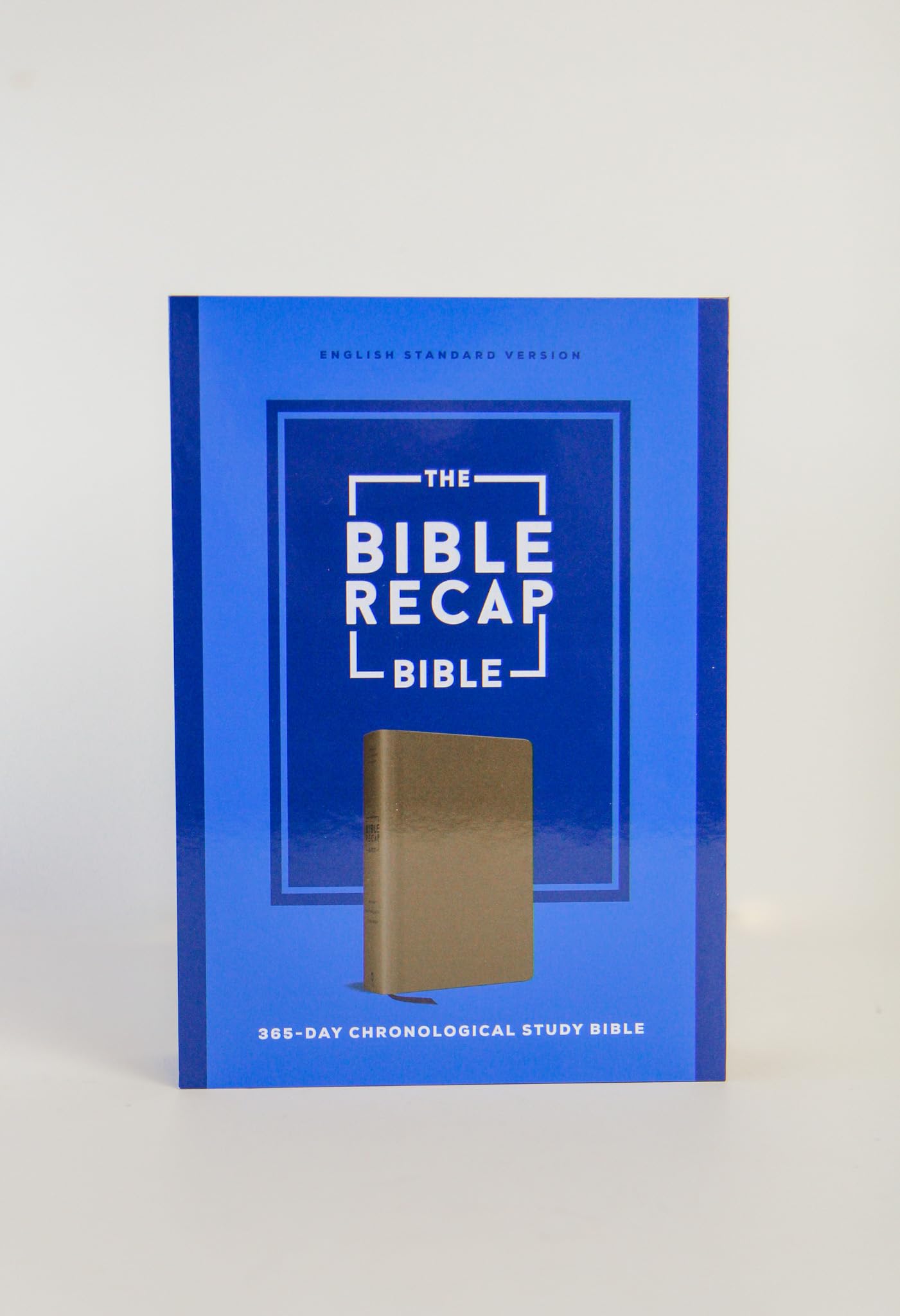 The Bible Recap 365-Day Chronological Study Bible: English Standard Version- ESV One Year Reading Plan