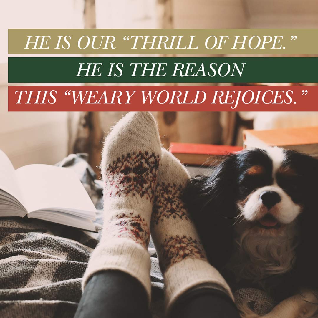 Advent - Bible Study Book: The Weary World Rejoices