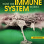 How the Immune System Works