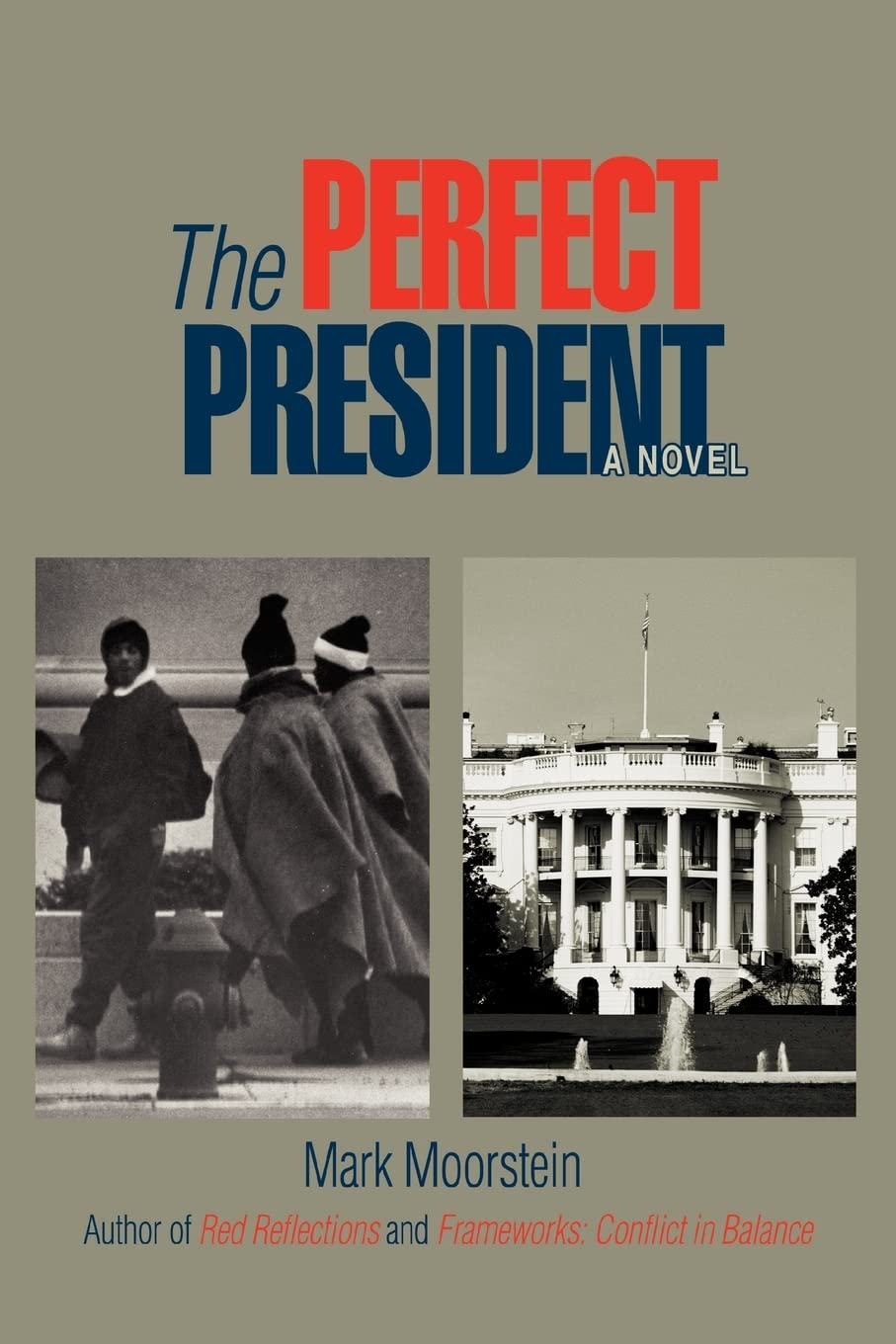 THE PERFECT PRESIDENT