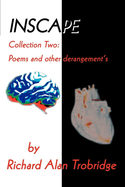 INSCAPE: Collection Two: Poems and other derangement's