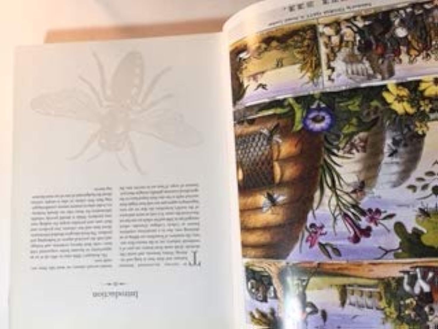 The Beekeeper's Bible: Bees, Honey, Recipes & Other Home Use