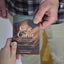 NIV, Case for Christ New Testament with Psalms and Proverbs, Pocket-Sized, Paperback, Comfort Print: Investigating the Evidence for Belief