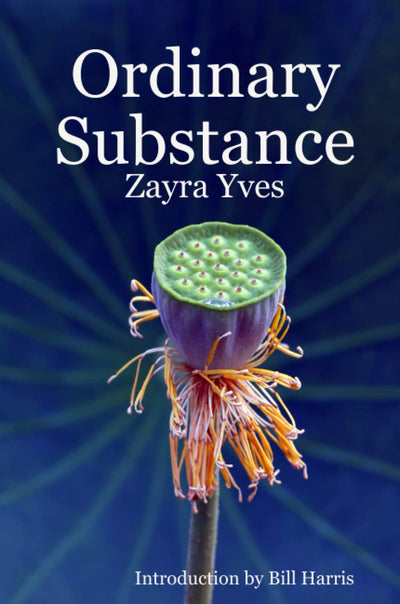 Ordinary Substance