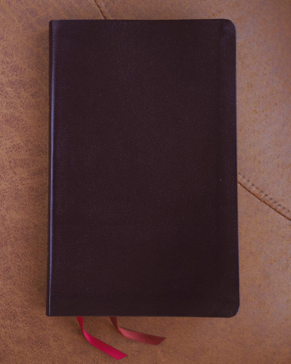 NIV Thinline Bible Bonded Leather Burgundy Red Letter