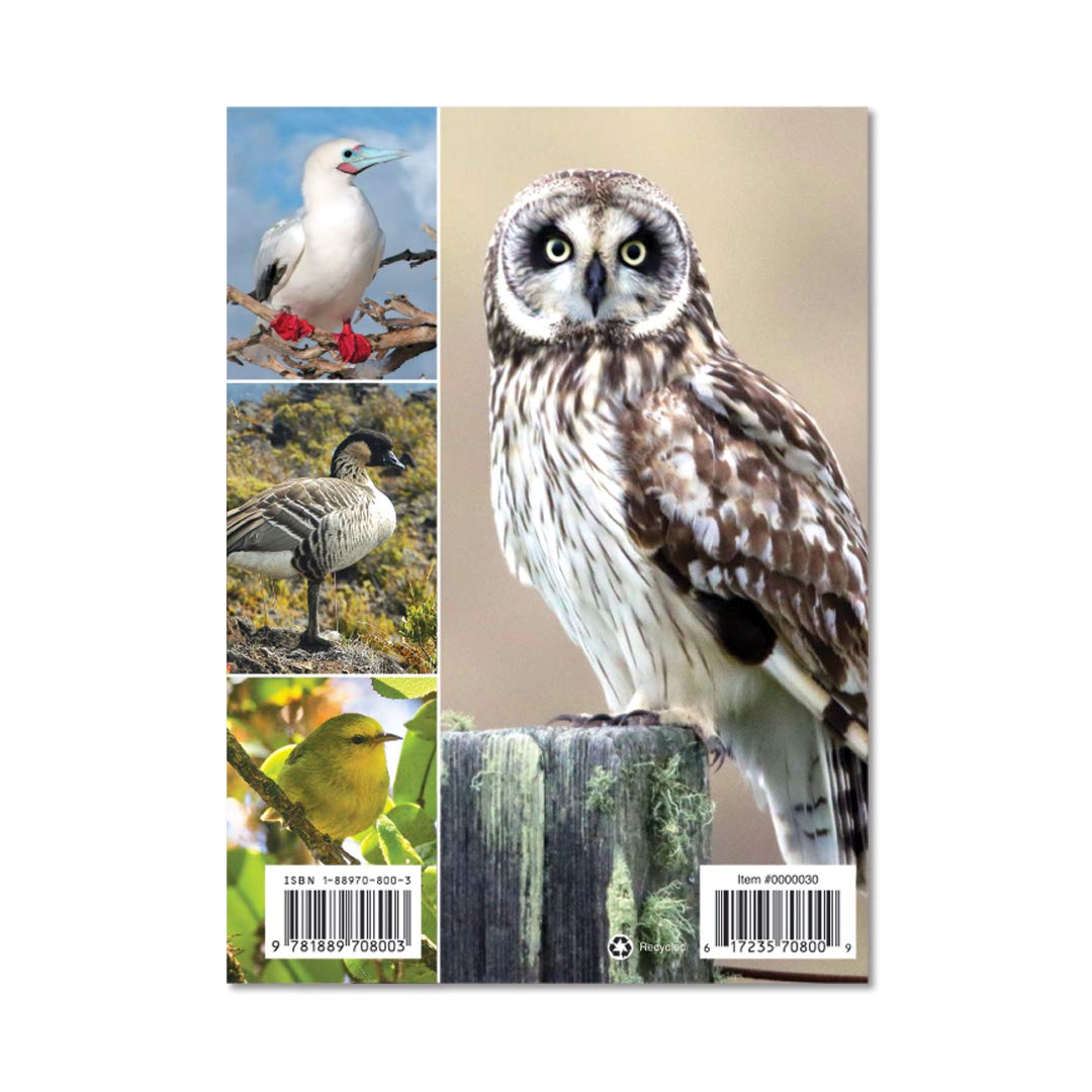 Hawaii's Birds