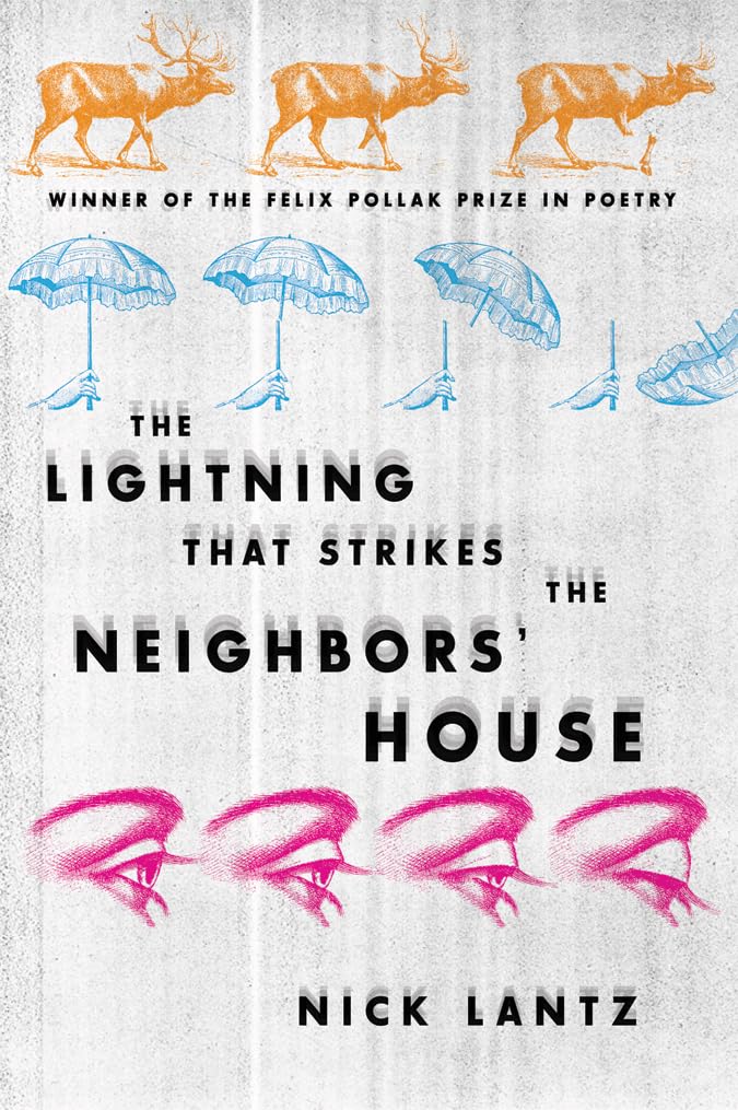 The Lightning That Strikes the Neighbors House (Wisconsin Poetry Series)