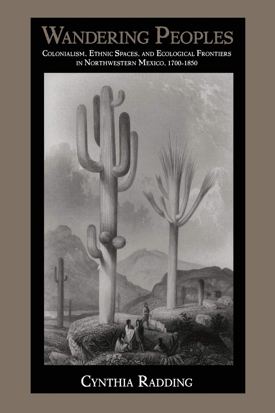 Wandering Peoples: Colonialism, Ethnic Spaces, and Ecological Frontiers in Northwestern Mexico, 1700-1850 (Latin America Otherwise)