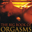 Big Book of Orgasms: 69 Sexy Stories