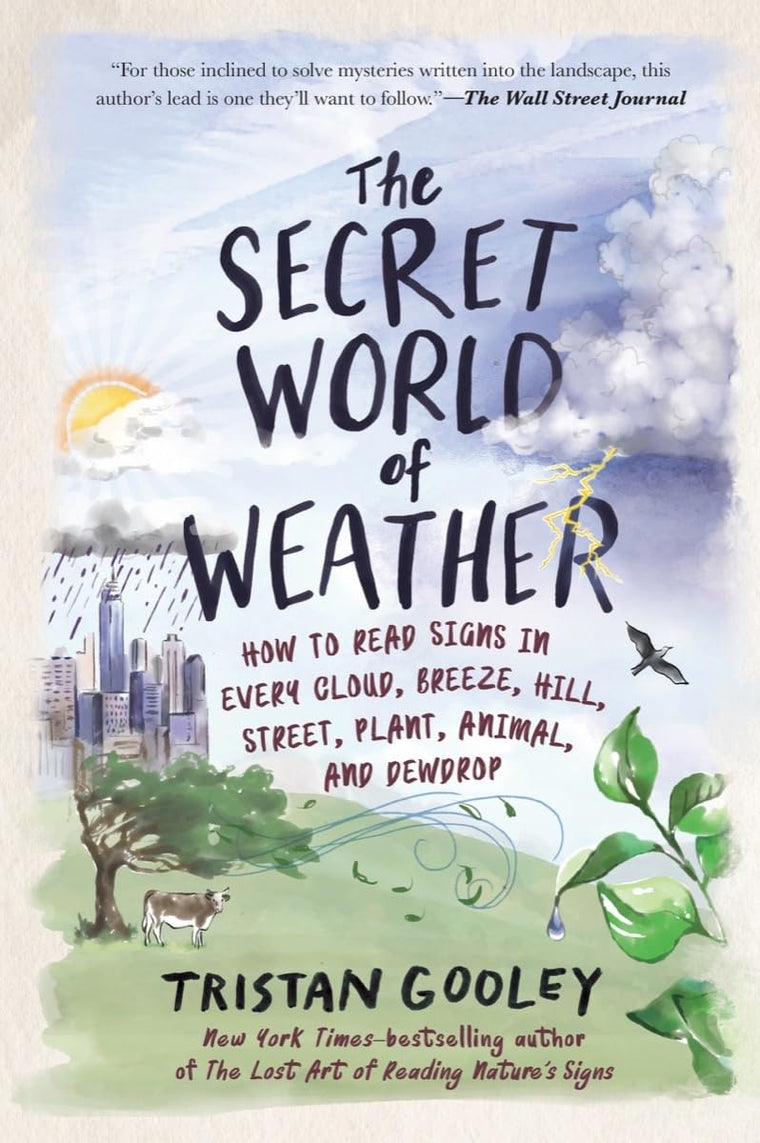 The Secret World of Weather: How to Read Signs in Every Cloud