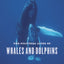 The Cultural Lives of Whales and Dolphins