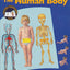 The Human Body (A First Discovery Book)